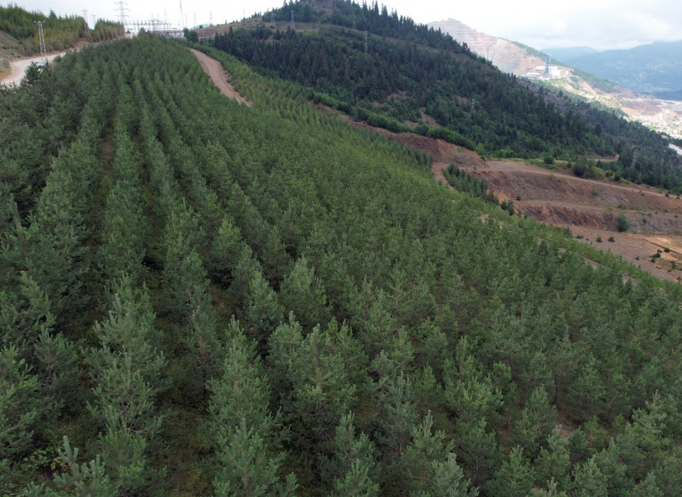 Eti Bakır Publishes Climate and Nature Report, a First in Türkiye's Mining Sector
