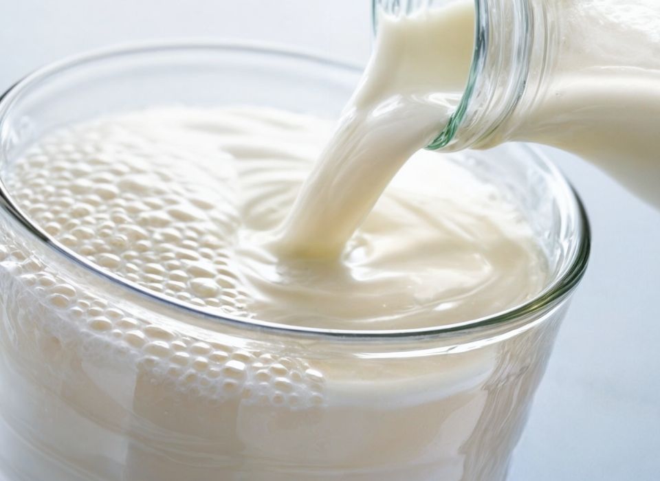 5 Key Facts You Should Know About Raw Milk