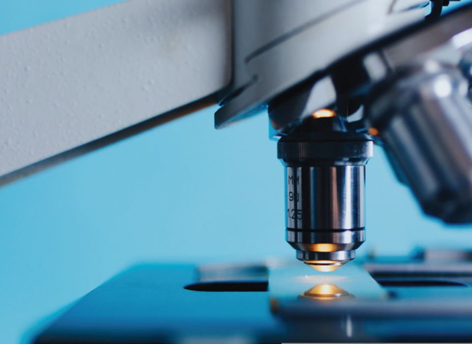 Food Safety Testing Market to Continue Growing