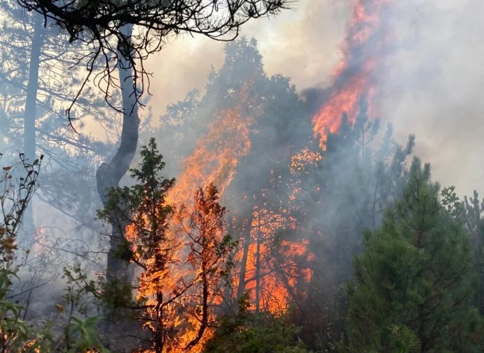 Scientists in Turkey Call for Mandatory Regulation Against Workplace Accidents and Fire Disasters