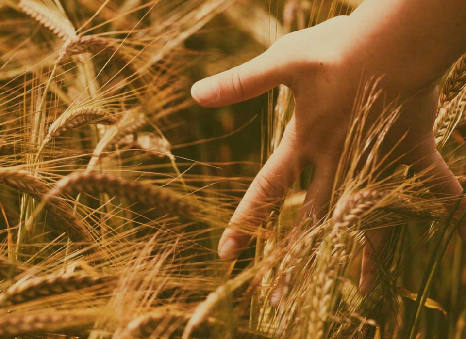 Sustainable Future Strengthened by Domestic Production