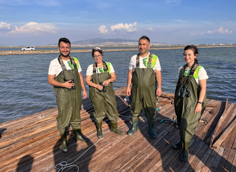 İzmir Gediz Deltası’nda Tepeli Pelikanlar İçin Yuva Platformu 