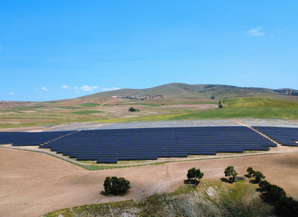 Energy Transition for Sustainable Growth: Organik Kimya Launches Solar Power Plant Initiative