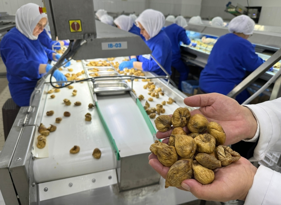 Dried Fig Exports Rise 12%