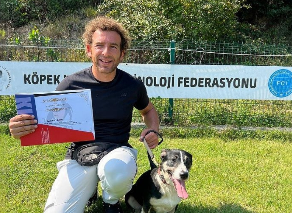 Certified Street Dog 'Safiş' Advances Toward Becoming a Therapy Dog