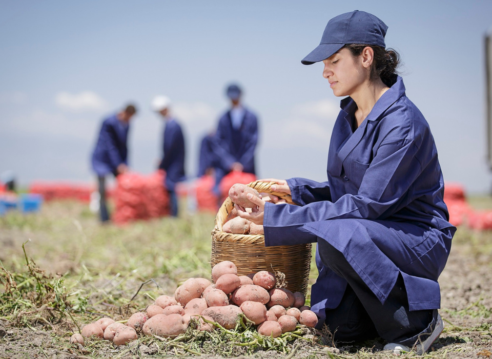 PepsiCo Türkiye Marks World Farmers' Day with Investment in the Future of Agriculture