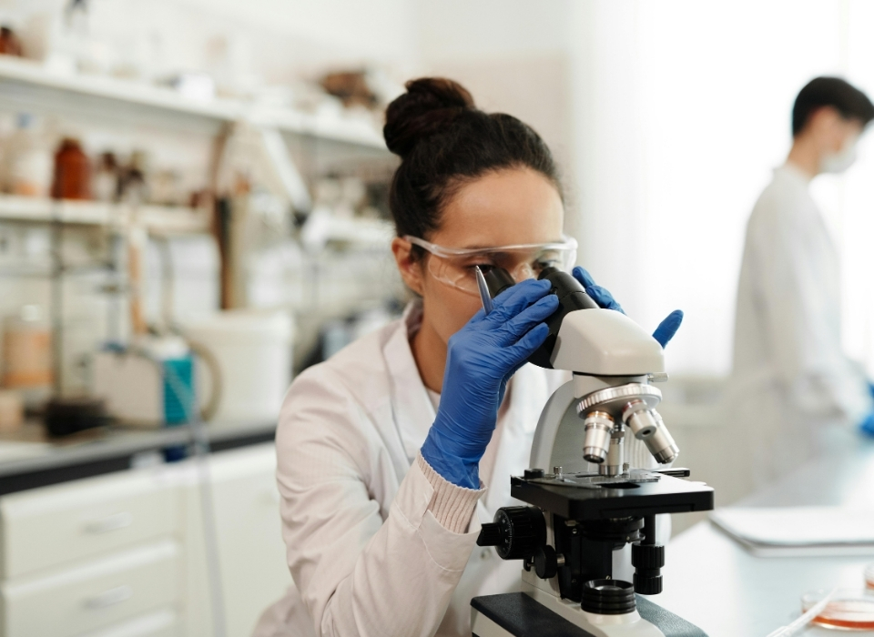 Bionome’den CBD Atılımı