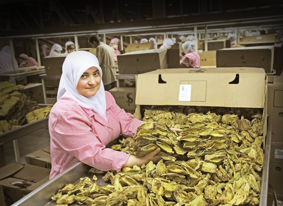 Çiftçi ve İhracatçının İş Birliği Tarım İhracatını Büyüttü