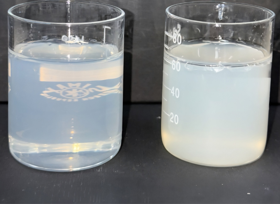 Shinsung Materials Strengthens Global Presence with High-Performance Personal Care Ingredients