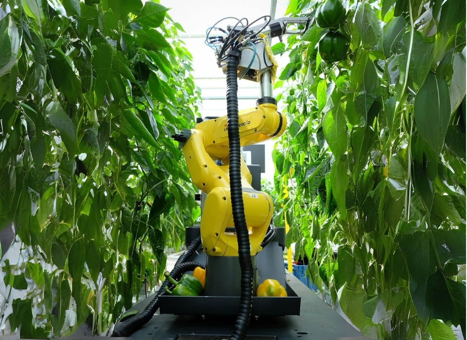 FANUC’tan Dünyanın Açlıkla Mücadelesine İnovatif Çözüm 