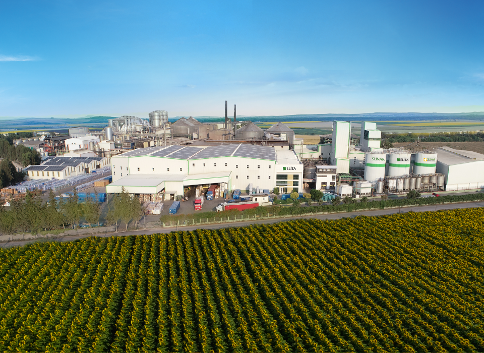 Elita Gıda Strengthens Export Network in African and Middle Eastern Markets